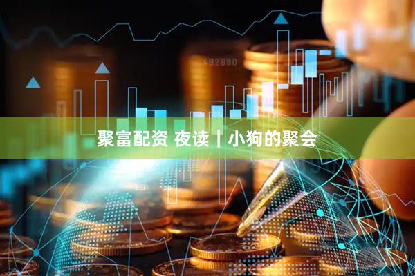 聚富配资 夜读｜小狗的聚会