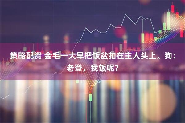 策略配资 金毛一大早把饭盆扣在主人头上。狗：老登，我饭呢？